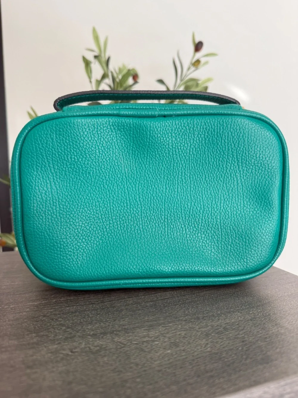 Bobbi Brown Green Makeup Cosmetic Travel Case Organizer Bag